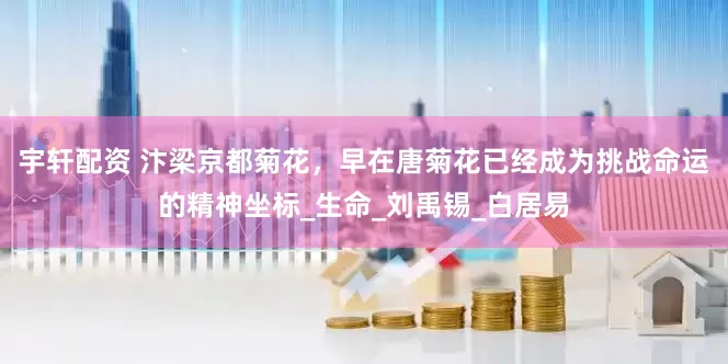 宇轩配资 汴梁京都菊花，早在唐菊花已经成为挑战命运的精神坐标_生命_刘禹锡_白居易