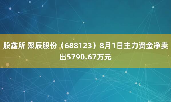 股鑫所 聚辰股份（688123）8月1日主力资金净卖出5790.67万元
