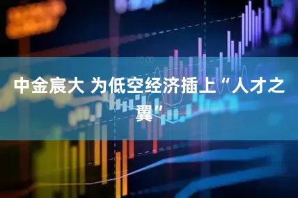 中金宸大 为低空经济插上“人才之翼”