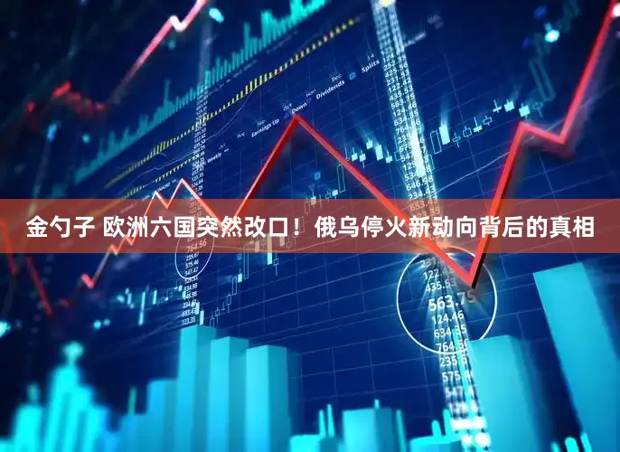 金勺子 欧洲六国突然改口！俄乌停火新动向背后的真相