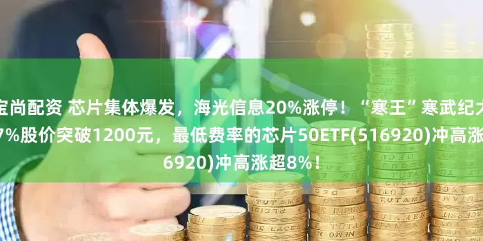 宝尚配资 芯片集体爆发，海光信息20%涨停！“寒王”寒武纪大涨超17%股价突破1200元，最低费率的芯片50ETF(516920)冲高涨超8%！